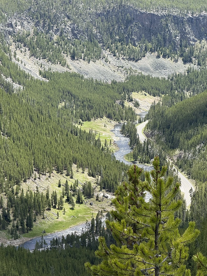 IMG 2743