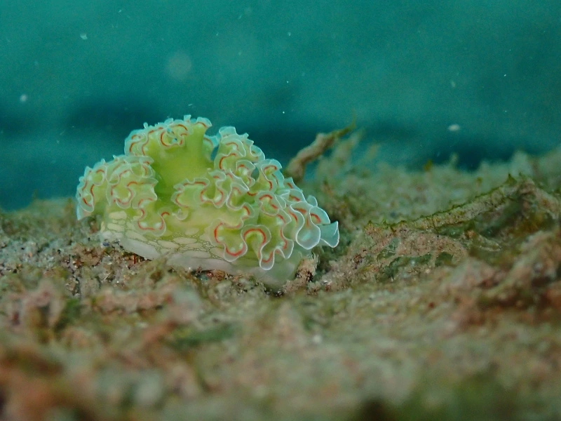 IMG 3670